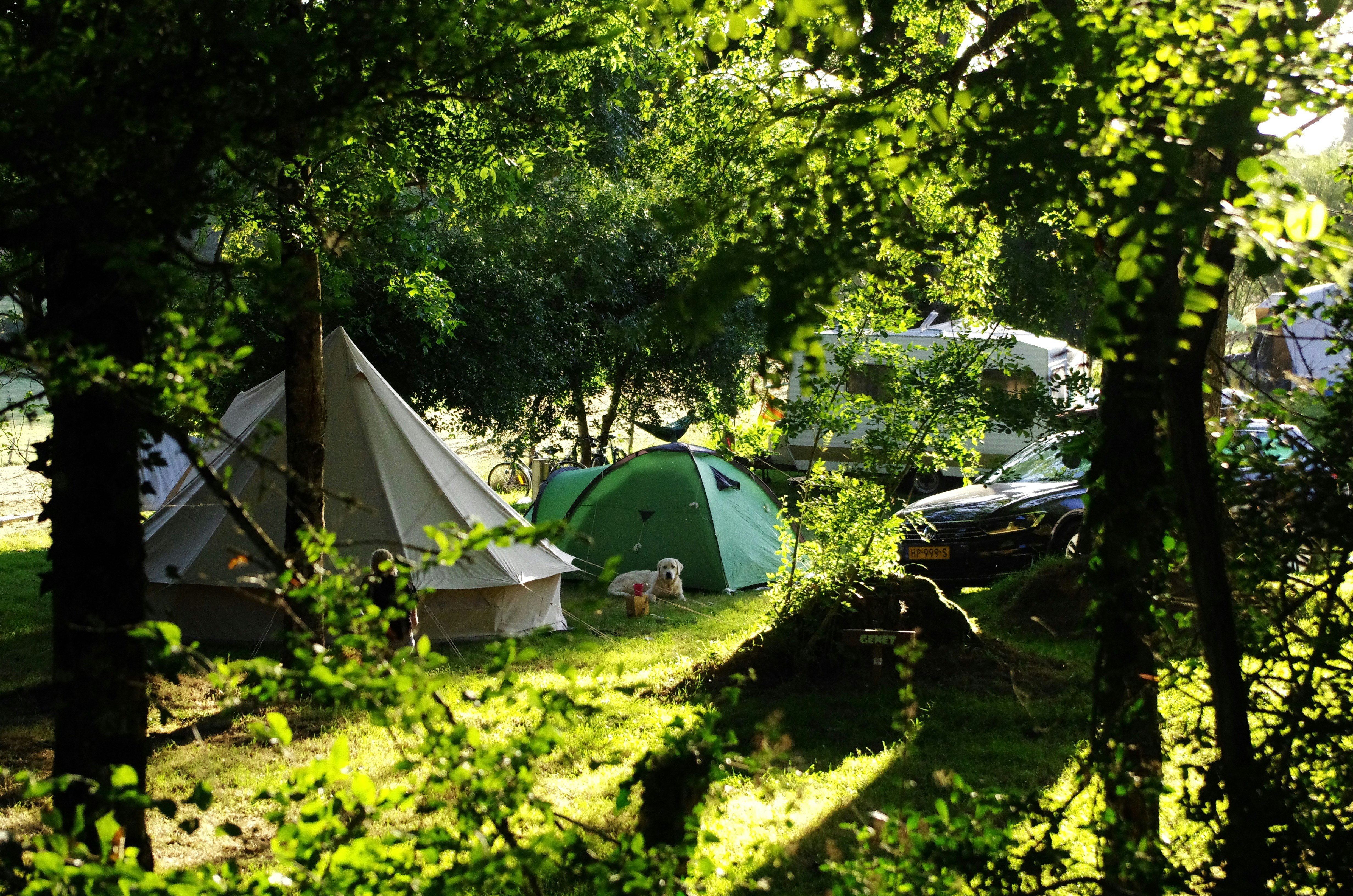 Zelte auf einem Campingplatz im Grünen zwischen Bäumen, im Hintergrund ein Auto und weitere Campingausrüstung.