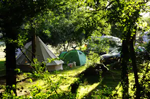 Zelte auf einem Campingplatz im Grünen zwischen Bäumen, im Hintergrund ein Auto und weitere Campingausrüstung.