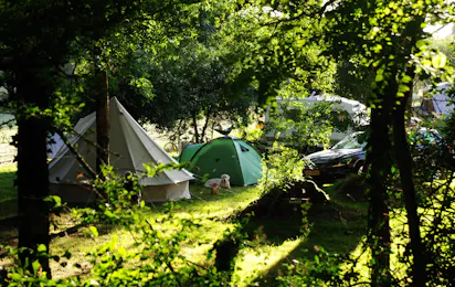 Camping La Bergerie