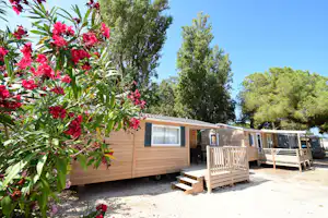 Camping La Bergerie Plage - Mobilheime mit Terrasse im Halbschatten neben Bäumen