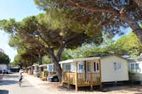 Camping La Bergerie Plage - Mobilheime mit Terrasse und eigenem Parkplatz im Schatten unter Bäumen