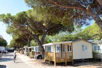 Camping La Bergerie Plage - Mobilheime mit Terrasse und eigenem Parkplatz im Schatten unter Bäumen