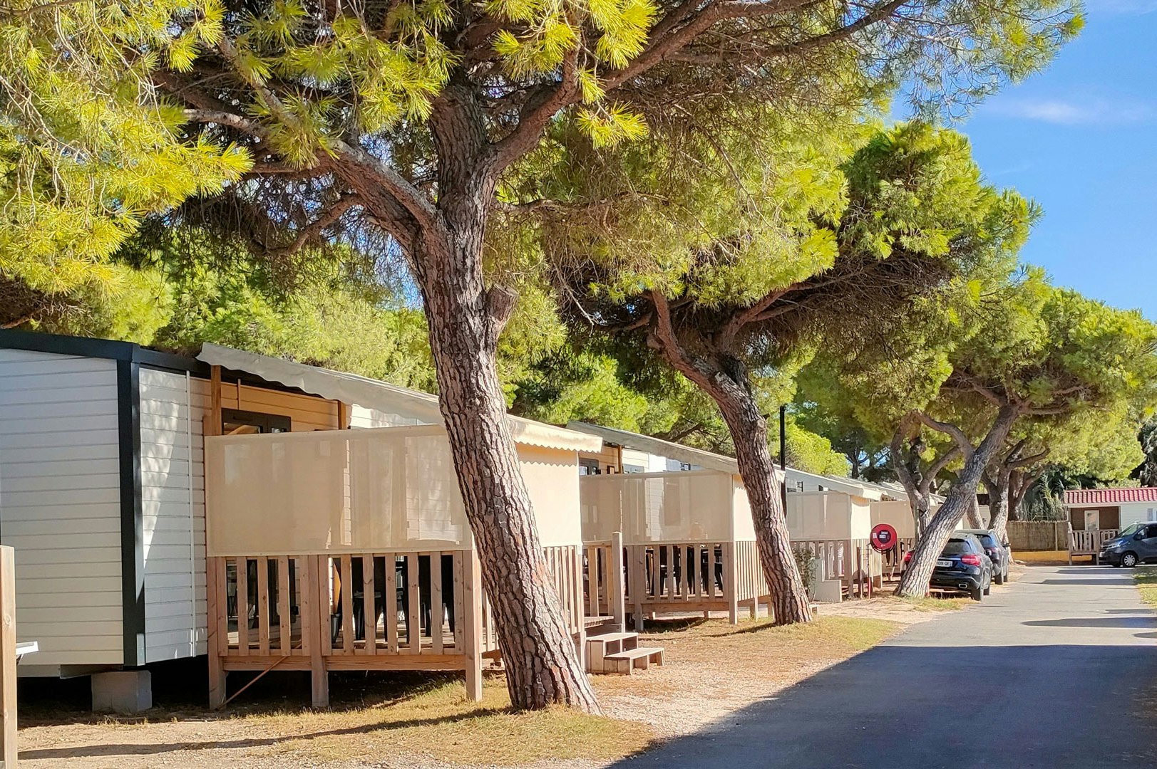 Wohnwagen mit Holzterrasse am Campingplatz, Bäume entlang des Weges und weitere Unterkünfte in der Reihe.