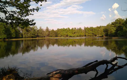Camping la Bissera