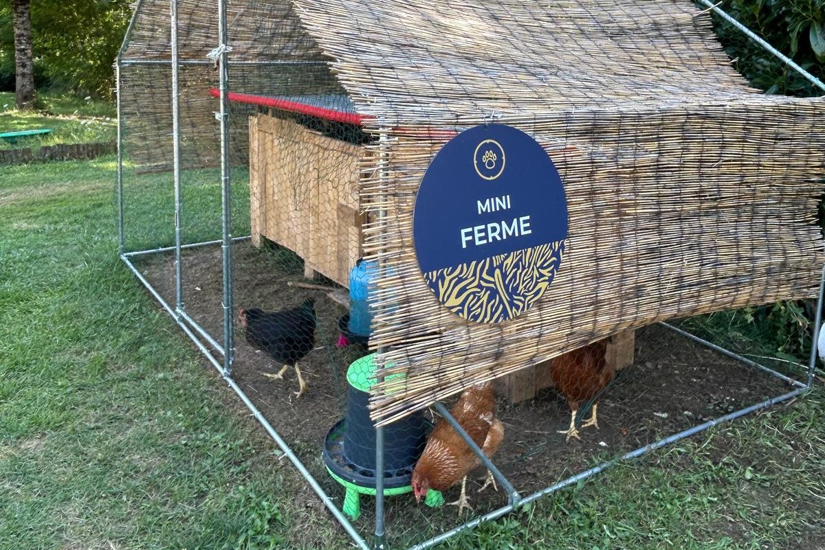 Mini Ferme Hühnerstall mit Holzverkleidung und Metallgehege im Grünen, umgeben von Bäumen und Gras.