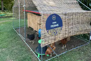 Mini Ferme Hühnerstall mit Holzverkleidung und Metallgehege im Grünen, umgeben von Bäumen und Gras.