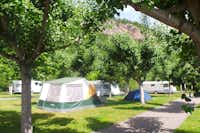Camping La Borda d'Arnaldet - Wohnwagen- und Zeltstellplatz mit Bäumen