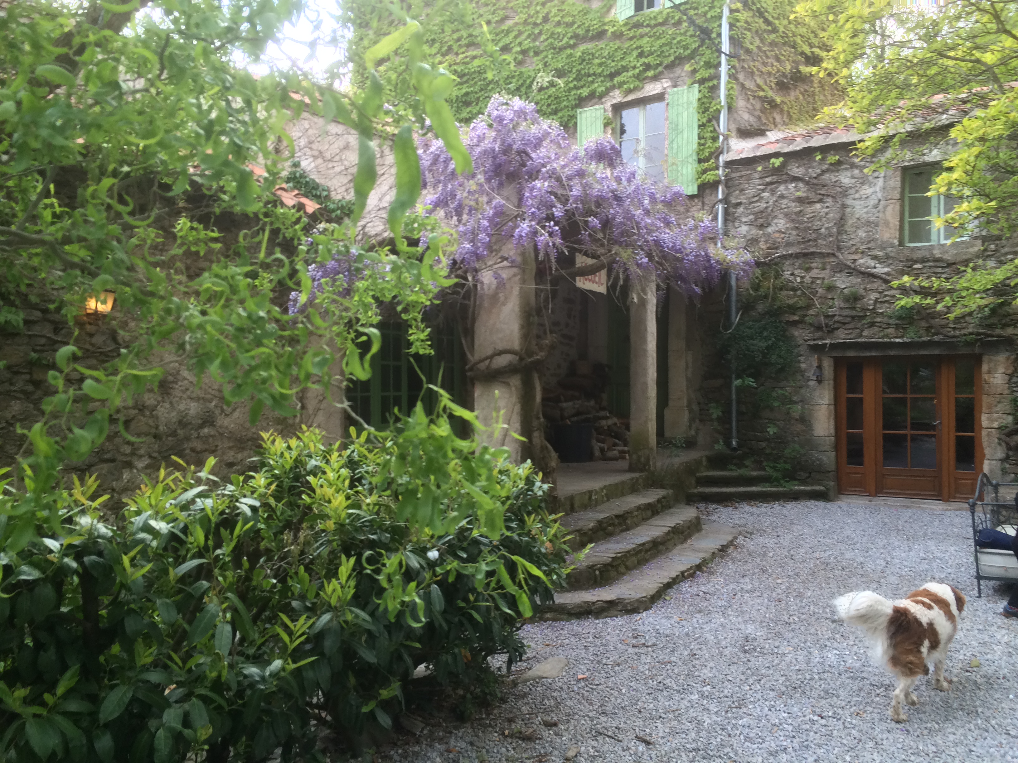 Camping La Borio de Roque