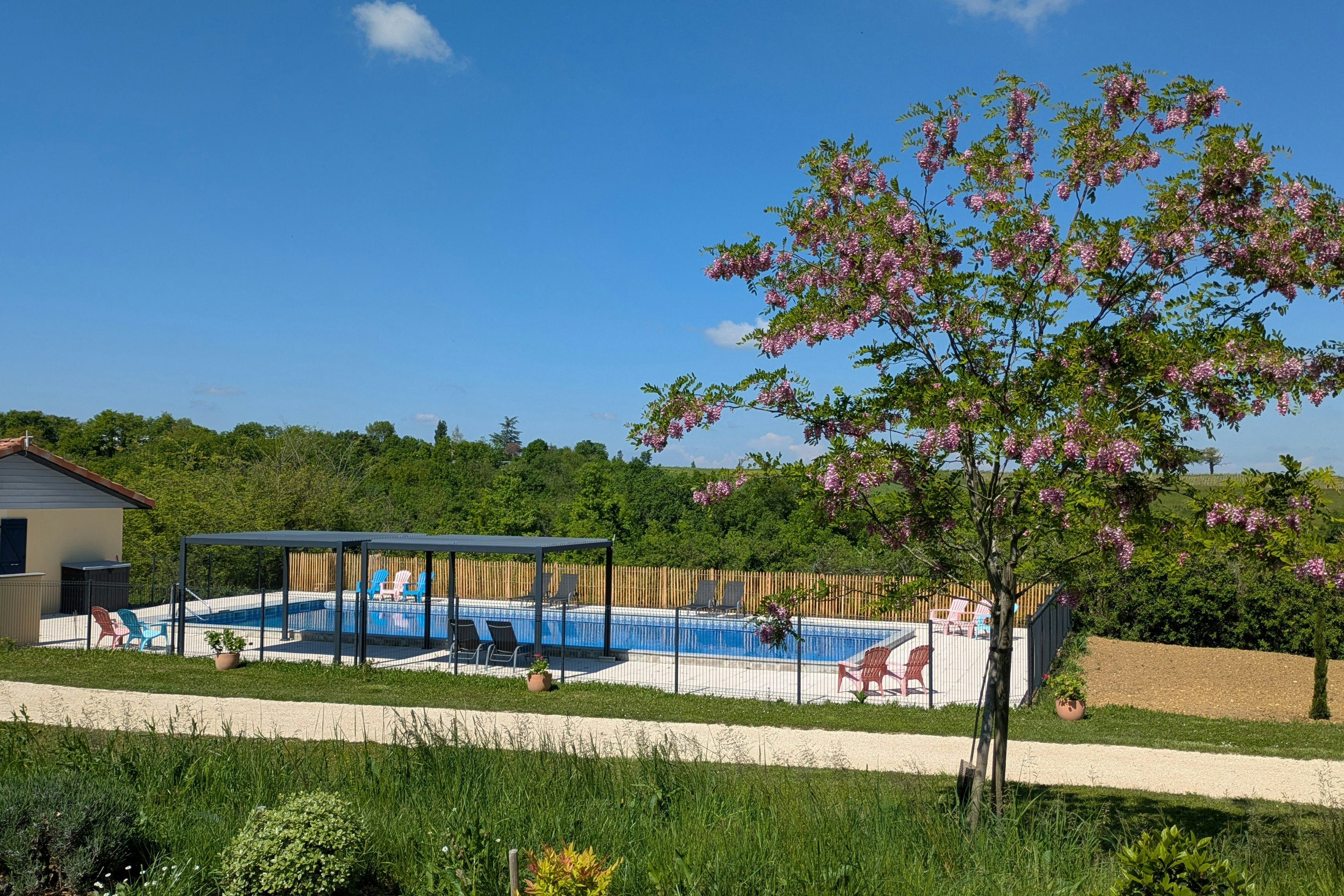 Schwimmbecken auf einem Campingplatz, umgeben von Rasen, Hecken und einem Baum vor blauem Himmel.