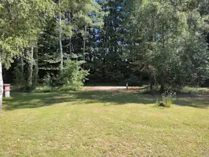Campingwiese mit Grasfläche im Wald, umgeben von Bäumen und Sträuchern, mit kleinem Weg am Rand.