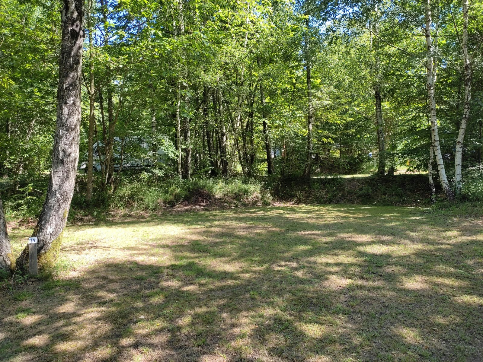 Rasenfläche auf einem Campingplatz mit Bäumen im Hintergrund und schattigen Bereichen am Waldrand.