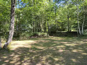 Rasenfläche auf einem Campingplatz mit Bäumen im Hintergrund und schattigen Bereichen am Waldrand.