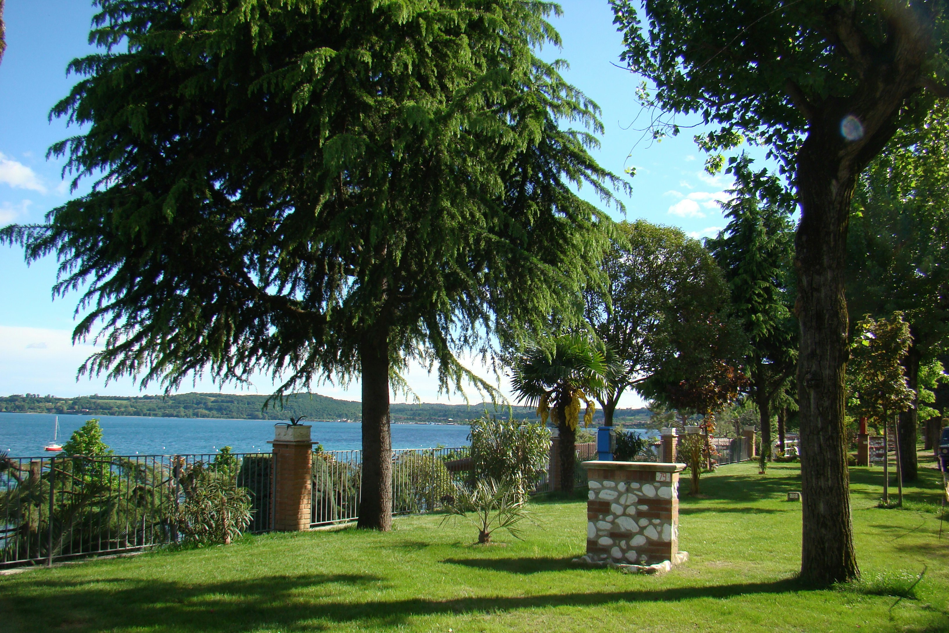 Grüner Campingplatz mit Rasen, Bäumen und einem Blick auf den See, im Hintergrund Ufer und Wasserlinie.
