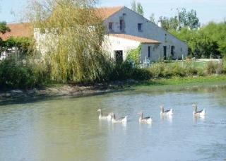 Camping La Cabane des Frênes