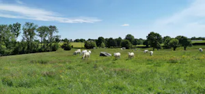 Camping La Chagnée
