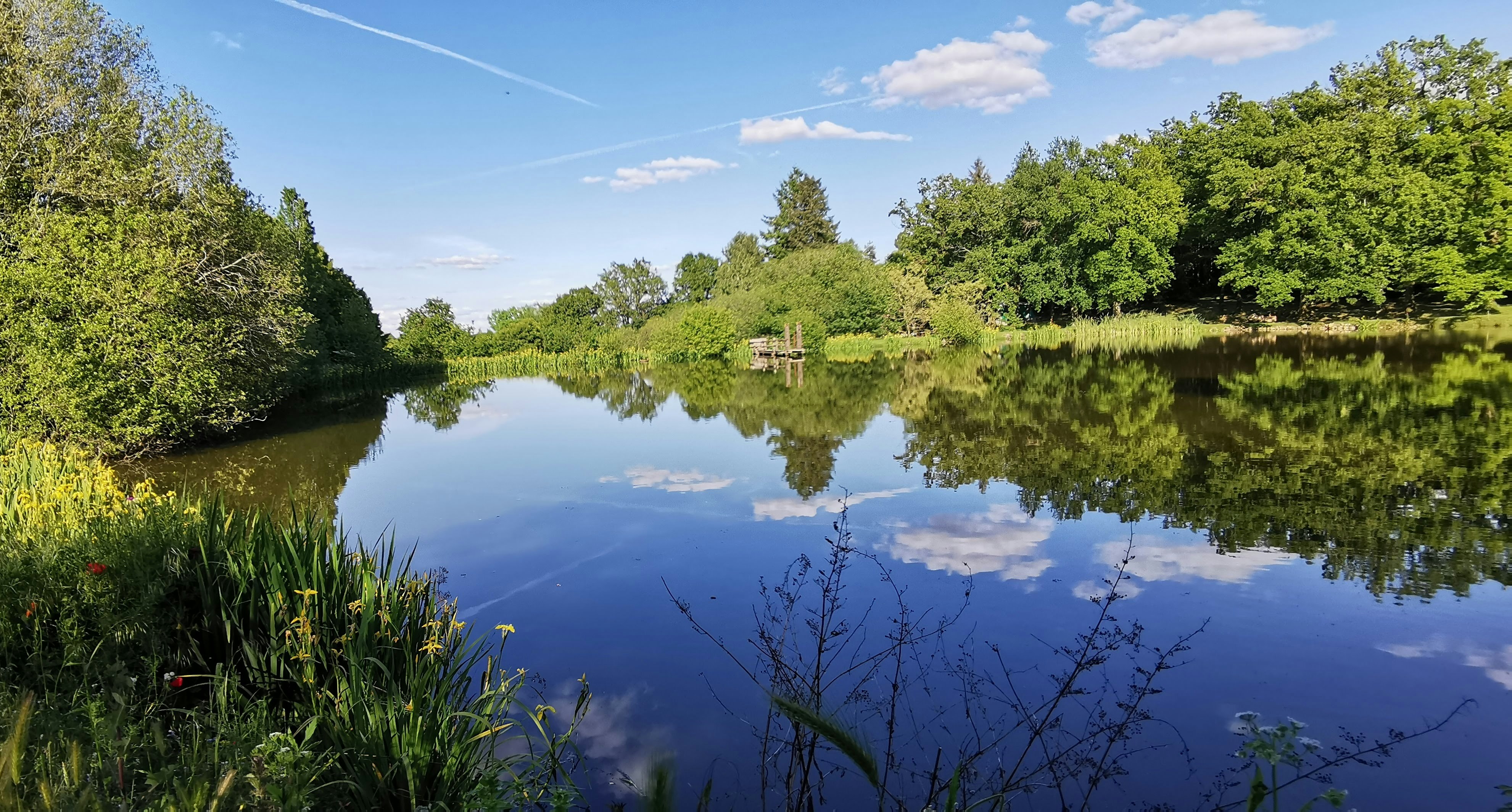 Ruhiger See mit Spiegelung im Wasser, umgeben von grünen Bäumen und Sträuchern, im Hintergrund ein bewachsener Uferbereich.