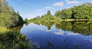 Ruhiger See mit Spiegelung im Wasser, umgeben von grünen Bäumen und Sträuchern, im Hintergrund ein bewachsener Uferbereich.