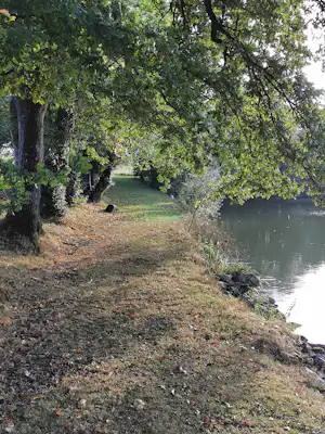 Uferweg am Fluss im Wald, mit Bäumen, Gras und Steinen am Ufer.