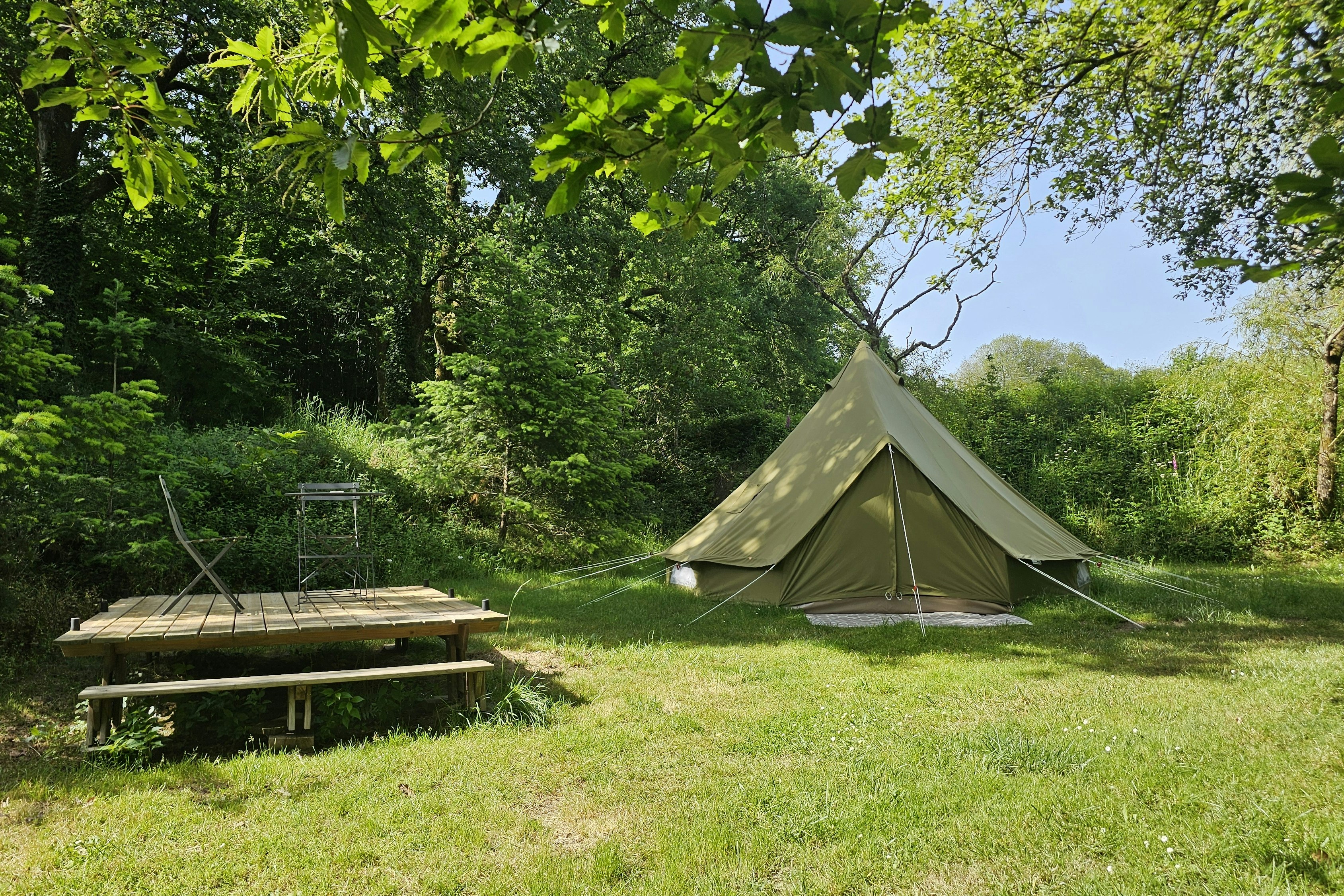 Zelt im Grünen auf einer Wiese, daneben eine Holzbank am Campingplatz zwischen Bäumen und Sträuchern.