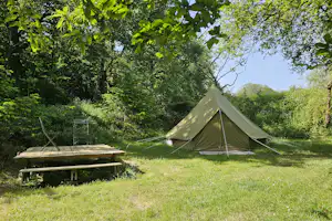 Zelt im Grünen auf einer Wiese, daneben eine Holzbank am Campingplatz zwischen Bäumen und Sträuchern.