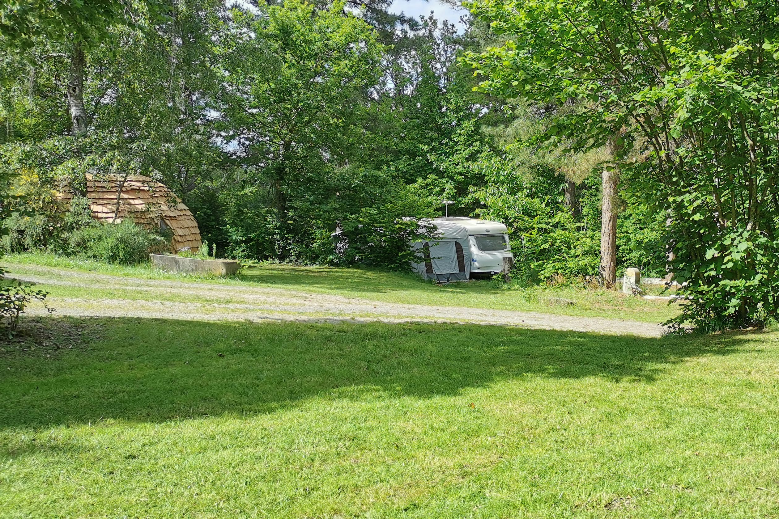Grüner Campingplatz mit Rasenfläche, Bäumen und einem Wohnwagen am Rand des Weges.