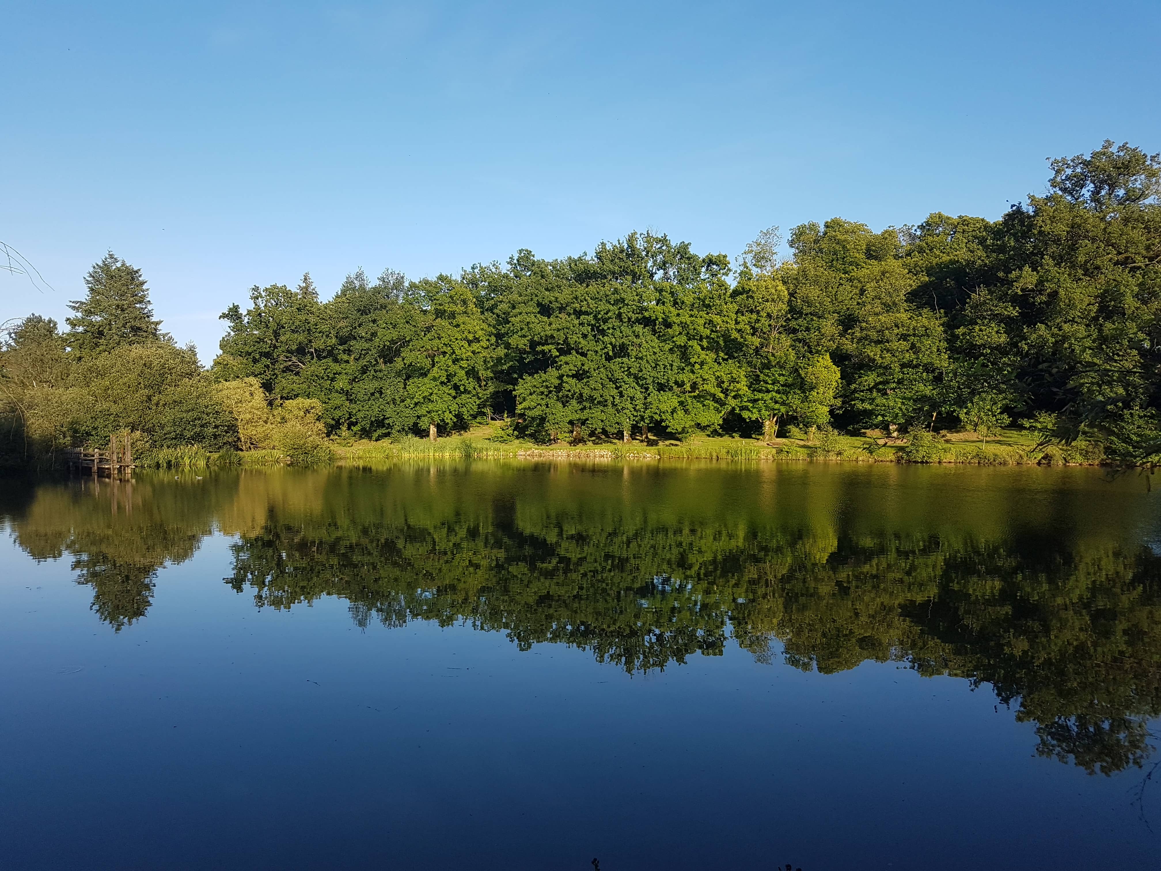 Ruhiger See mit Spiegelung des umliegenden Waldes, klare Uferlinie und blauem Himmel im Hintergrund.
