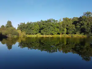 Ruhiger See mit Spiegelung des umliegenden Waldes, klare Uferlinie und blauem Himmel im Hintergrund.