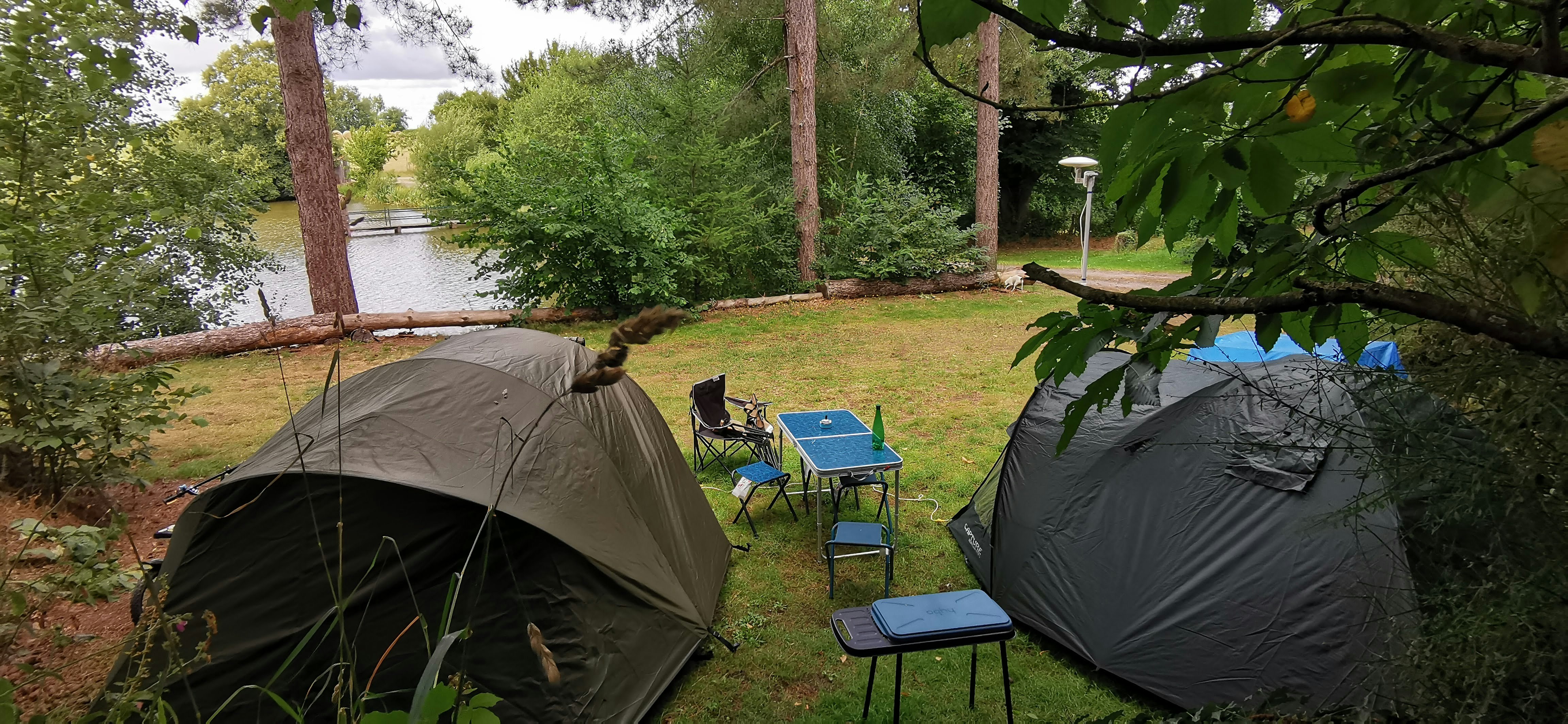 Zwei Campingzelte auf einem Rasenplatz am See, mit Campingstühlen und Tisch zwischen den Zelten, umgeben von Bäumen.