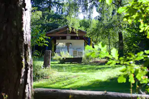 Holzhütte auf einem Campingplatz im Grünen, umgeben von Bäumen und Rasen, mit Terrasse und Blick in den Wald.