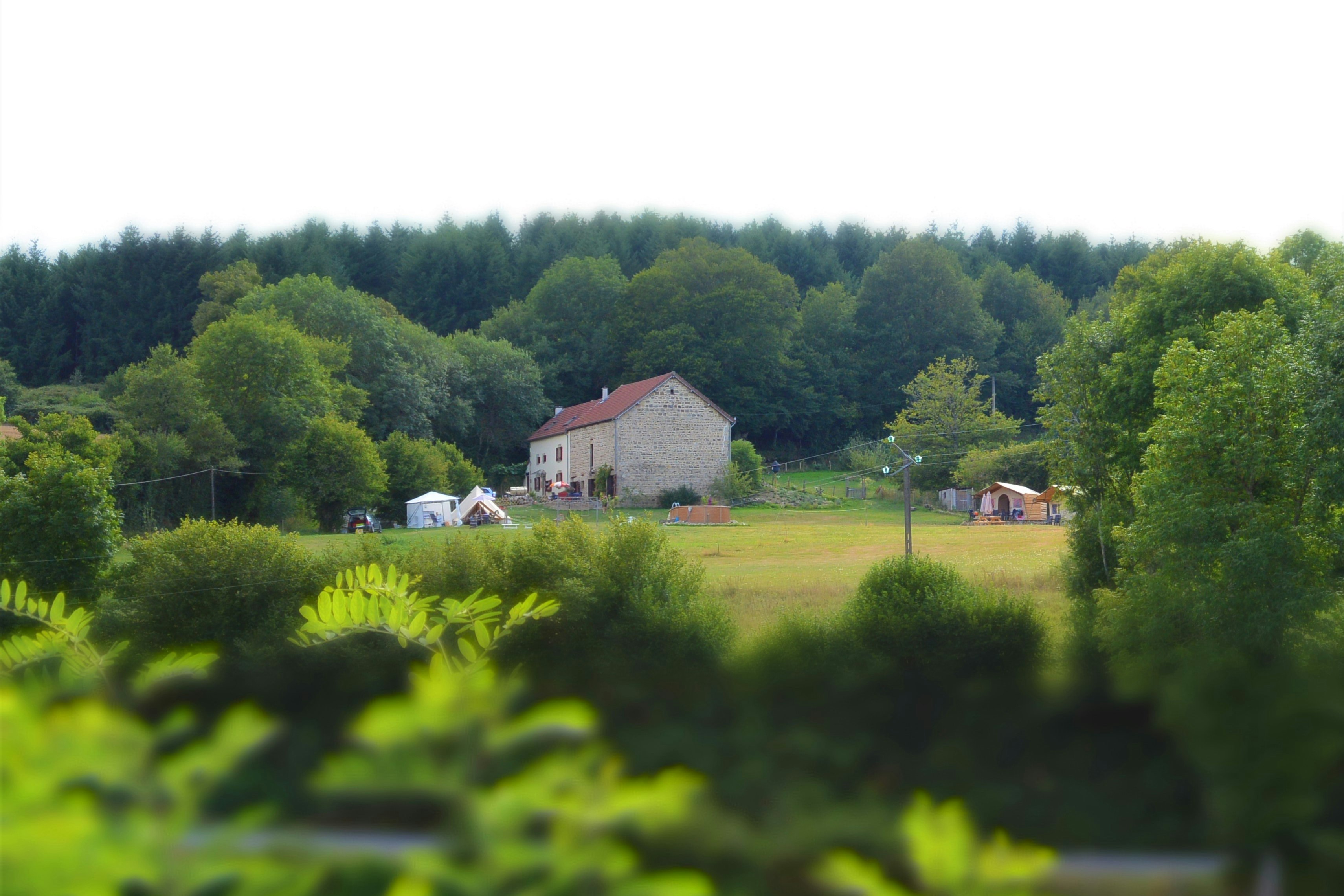 Blick über grünes Gelände auf Bauernhäuser mit roten Dächern und Wald im Hintergrund, aufgenommen durch Büsche.