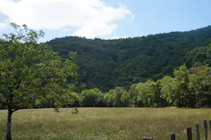 Grünes Feld mit Zaun und Bäumen im Vordergrund, dahinter ein bewaldeter Hügel unter blauem Himmel.