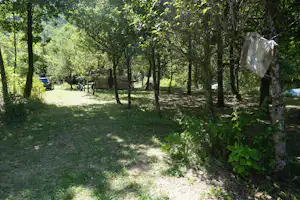 Campingweg im grünen Wald mit Bäumen, Gras und einem abgestellten Auto am Rand der Lichtung.