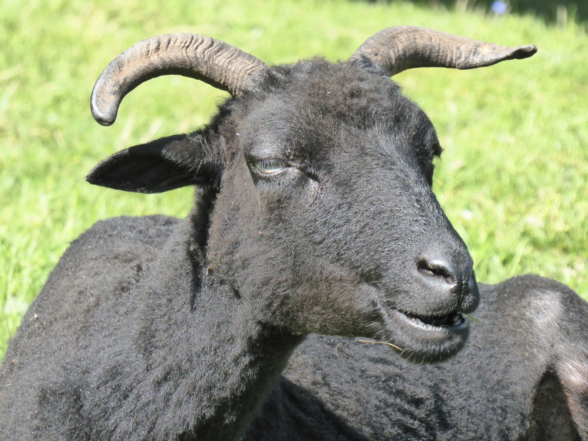 Camping La Chassagne