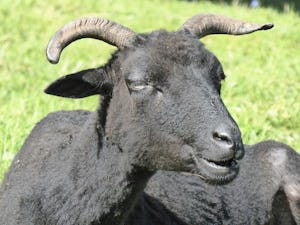 Camping La Chassagne