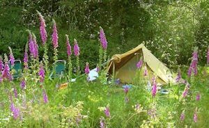 Camping La Chassagne