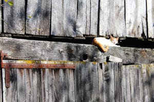 Camping La Chassagne