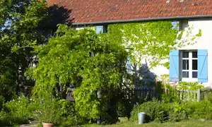 Campinghaus mit rotem Ziegeldach, großen Fenstern und blau gestrichenen Fensterläden, umgeben von grünem Garten und Büschen.