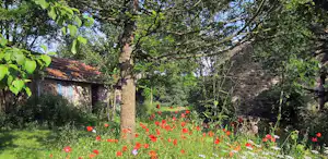 Blühende Wiese mit roten Blumen vor einem kleinen Holzhaus im Grünen, umgeben von Bäumen und Gartenwegen.