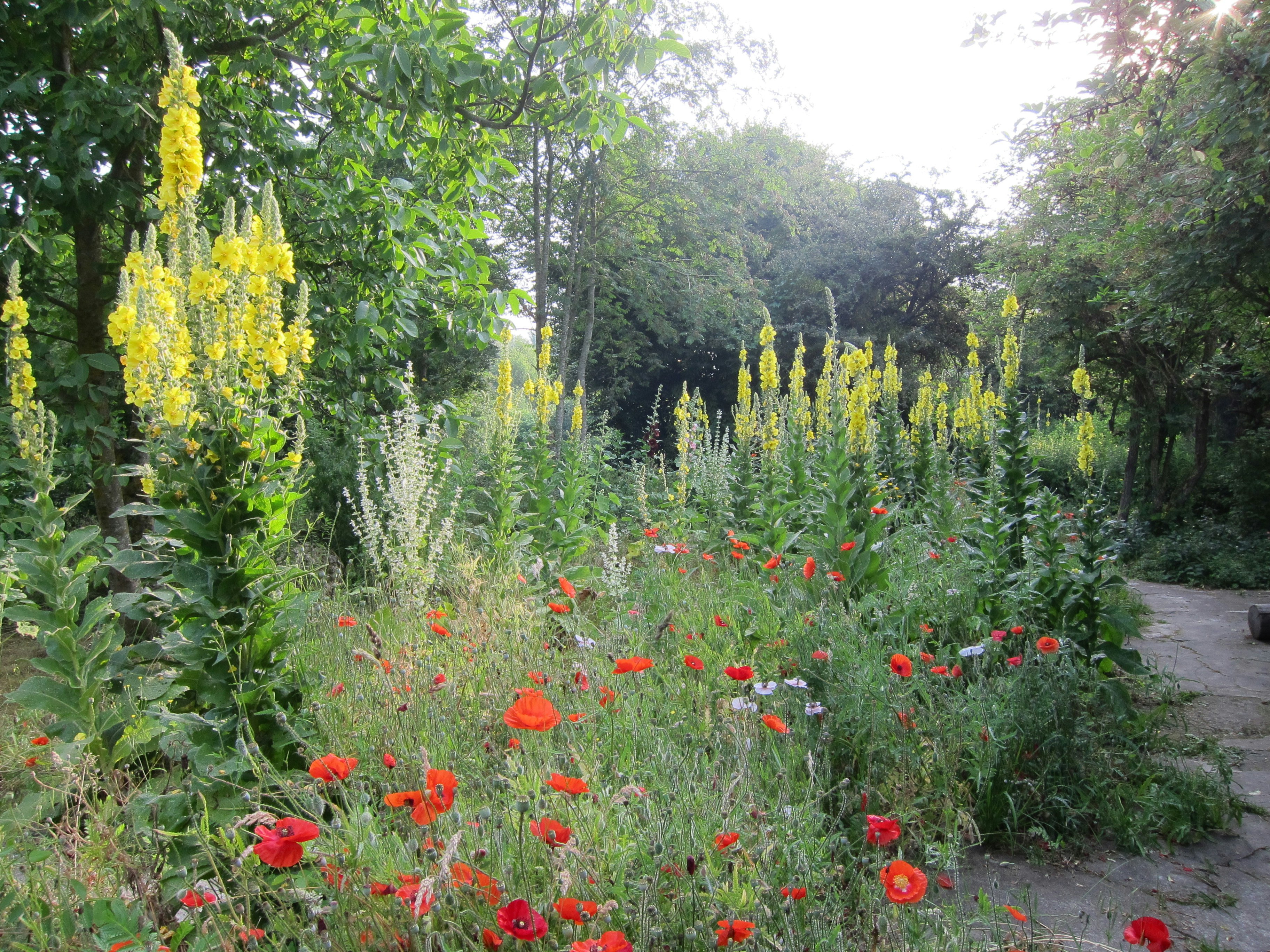 Camping La Chassagne
