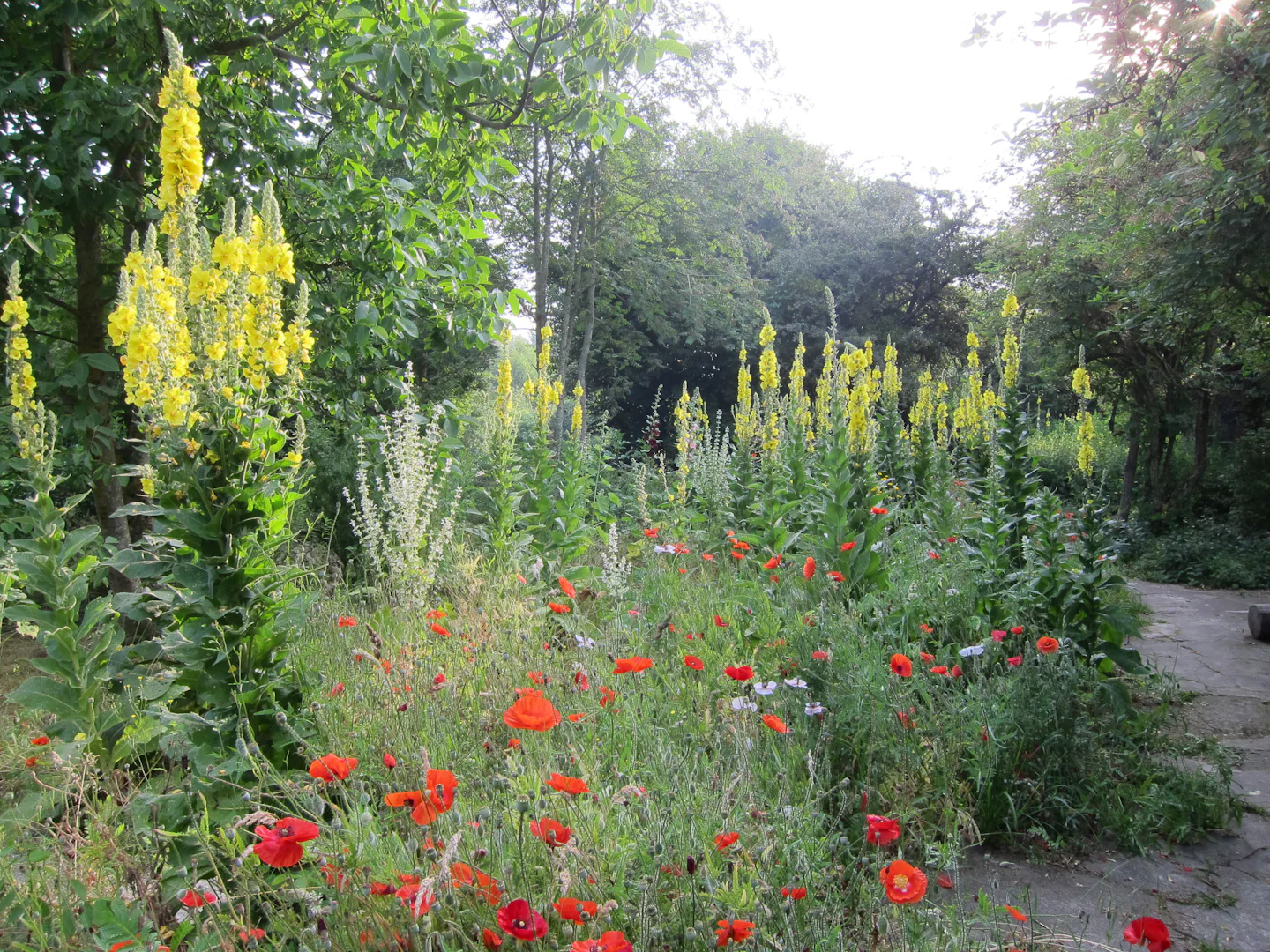 Camping La Chassagne