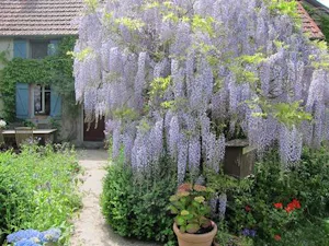 Camping La Chassagne