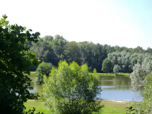 Ruhiger See mit Ufergras und Bäumen im Vordergrund, dahinter dichter Wald und grünes Landschaftsbild.
