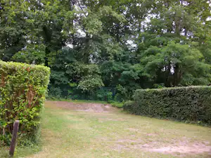 Grüner Campingplatz mit Rasenfläche, Hecken und Bäumen im Hintergrund.