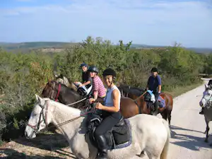 Reiter auf Pferden am Weg, mehrere Personen mit Sätteln, Blick über die Landschaft und Bäume im Hintergrund.