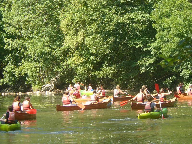 Ruderboote auf dem Fluss, mehrere Personen paddeln gemeinsam, umgeben von dichtem Grün und Bäumen am Ufer.