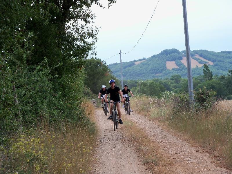 Zwei Radfahrer auf einem Schotterweg zwischen Büschen und hohen Gräsern, im Hintergrund ein bewaldeter Hügel.