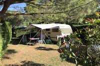 Camping La Chesnays - Wohnmobilstellplatz vom Campingplatz zwischen Bäumen 