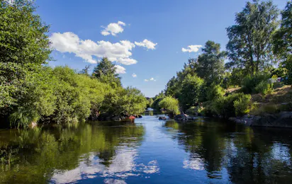 Camping la Cigale de l'Allier