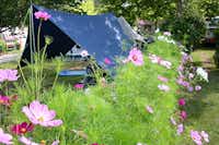 Camping La Cigale  - Zelt auf dem Stellplatz auf grüner Wiese