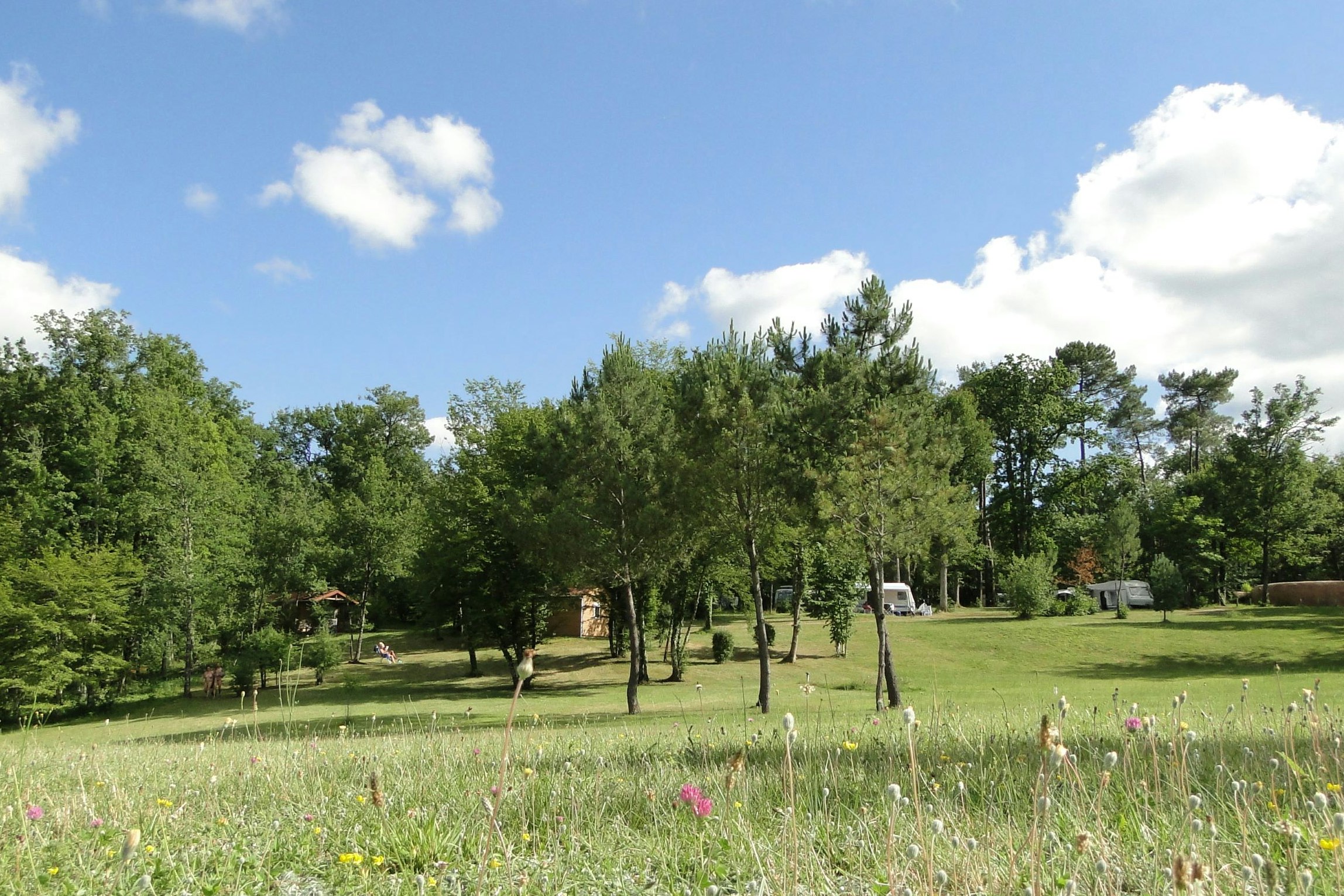 Grünes Campinggelände mit Wiese, Bäumen und Wegen, im Hintergrund ein paar Gebäude und ein offener Himmel.